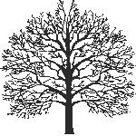 bigtree.gif (4075 bytes)